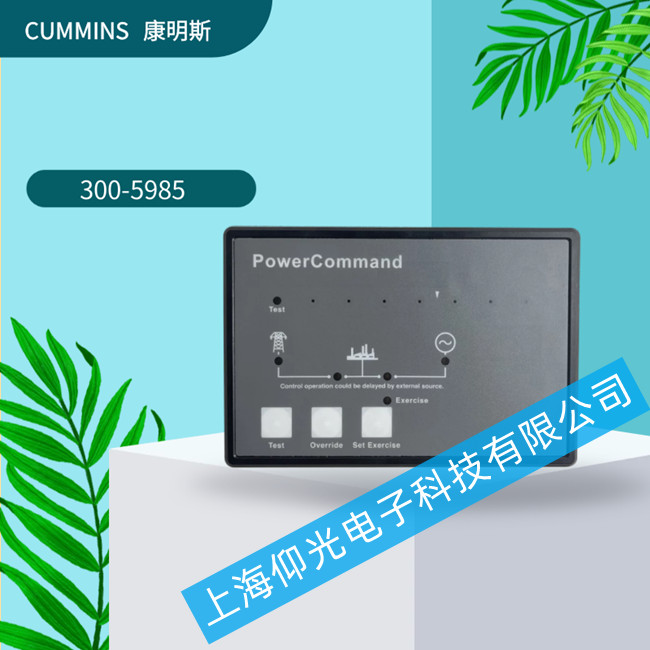 CUMMINS����˹�l(f��)늙C�������S��TS1311����